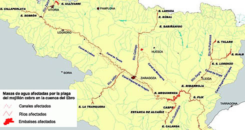 mapamejilloncebra.jpg