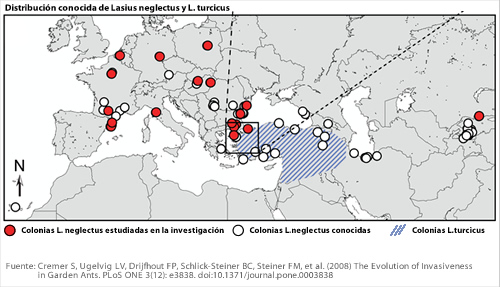 mapa_hormigas_invasoras.jpg