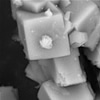 nanocontainers