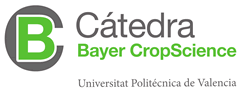 bayer