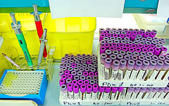biocidas