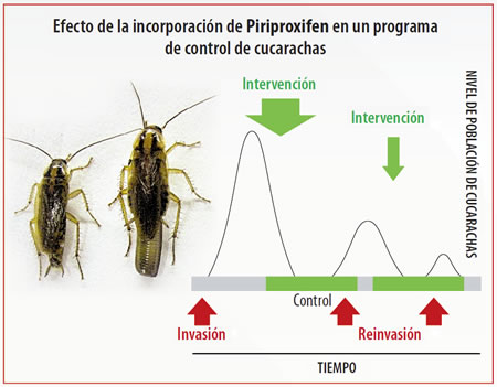 piriproxifen