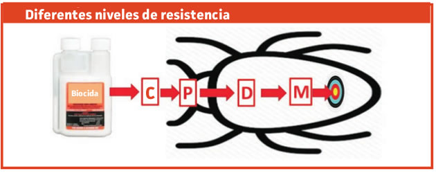 biocidas