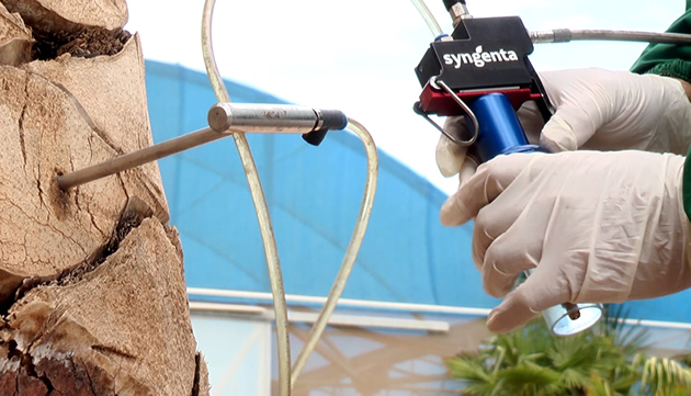 syngenta