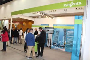 syngenta